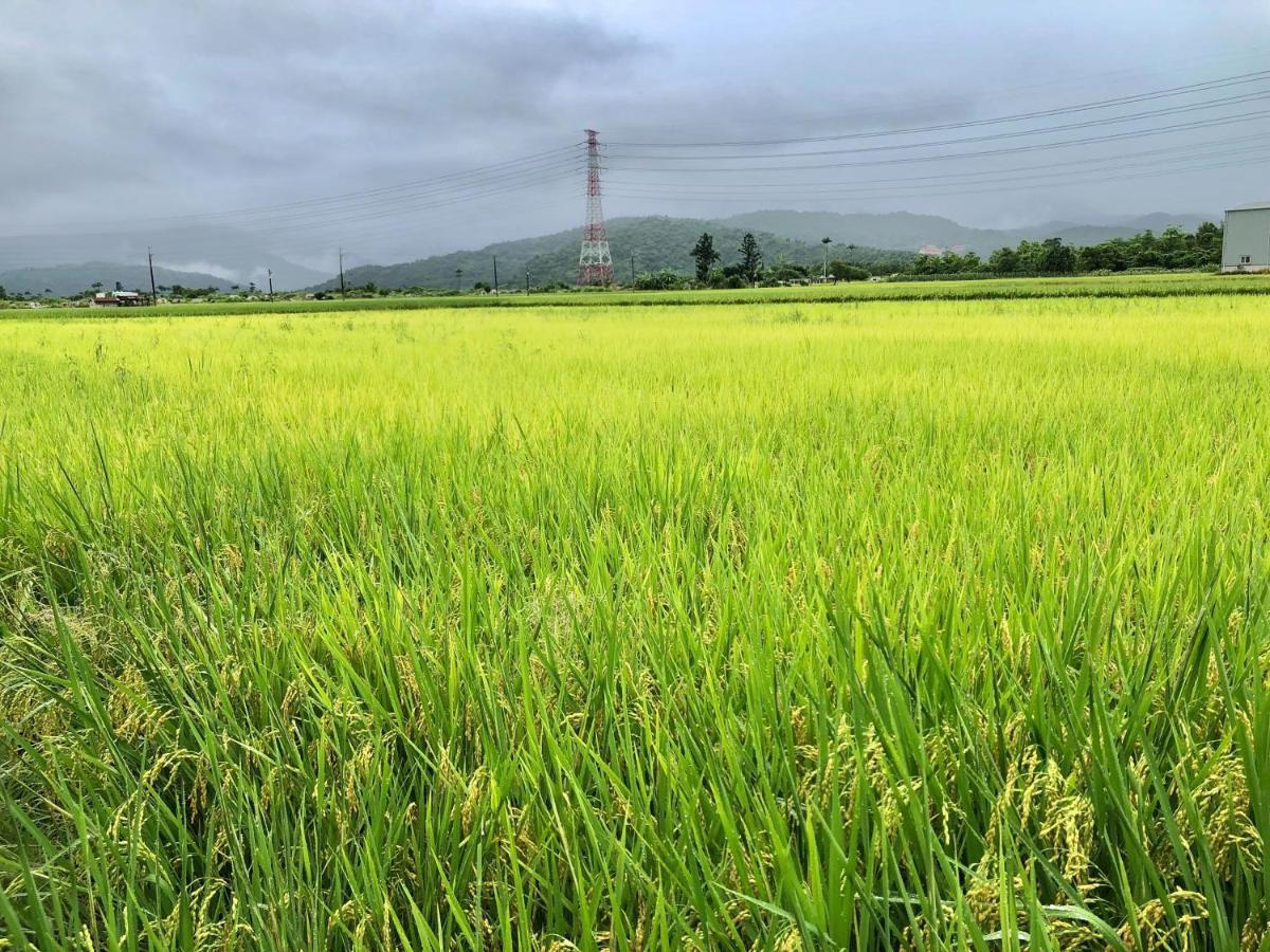 Fairy Story Village Farm B&B Dongshan (Yilan) Exterior foto