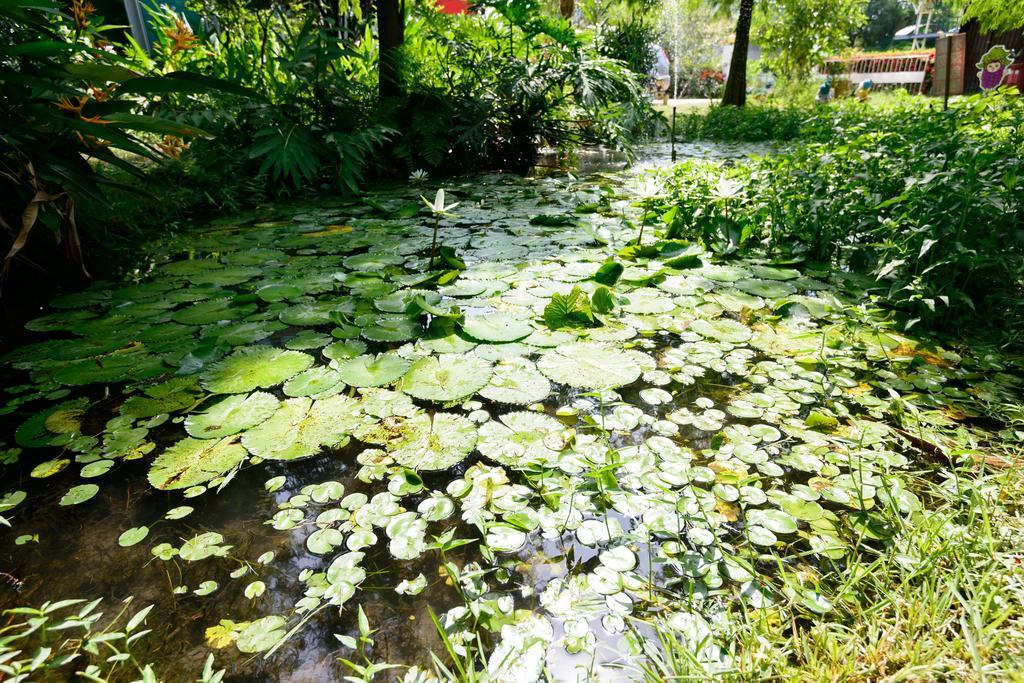 Fairy Story Village Farm B&B Dongshan (Yilan) Exterior foto